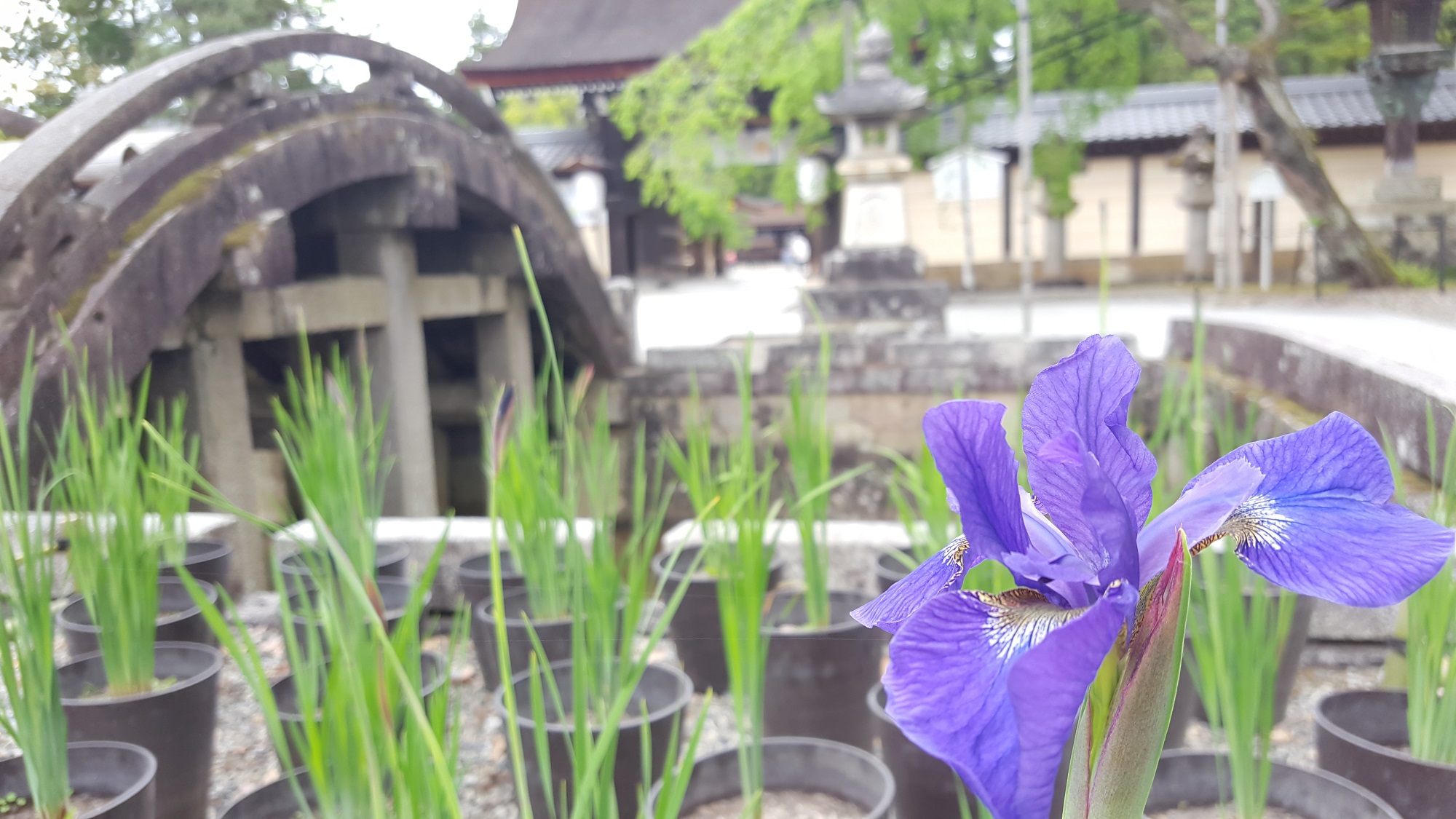 5月のお知らせ