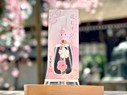 こいまもり花むすび