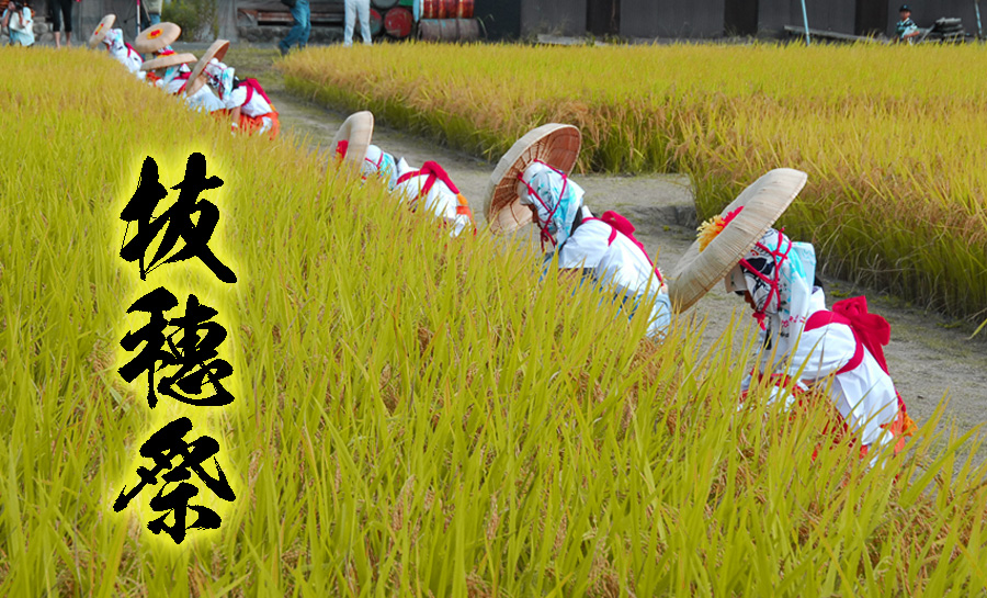 抜穂祭