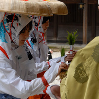 お田植祭