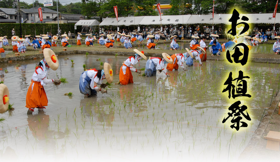 御田植祭（おたうえさい）